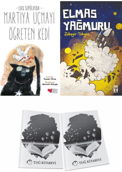 Martıya Uçmayı Öğreten Kedi ve Elmas Yağmuru + Hediyeli