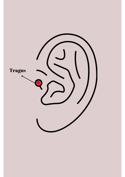316L Çelik Gümüş Renk Beyaz Minelik Kalp Sallantı Zirkon Taş Detay Tragus Piercing fiyatları