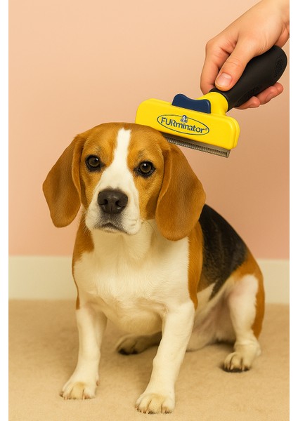 Köpek Tüy Kısaltıcı Bakım Tarağı Short Hair L - Kısa Tüylü Köpekler Için - Köpek Tüy Bakım Tarağı