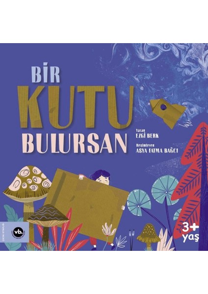 Bir Kutu Bulursan