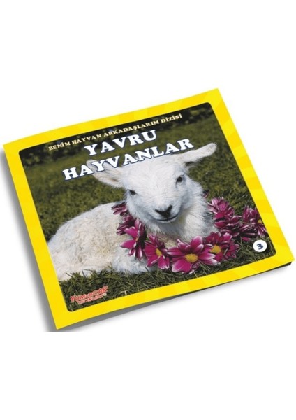 Yavru Hayvanlar - Benim Hayvan Arkadaşlarım Dizisi 3