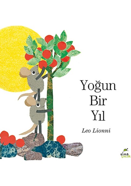 Yoğun Bir Yıl