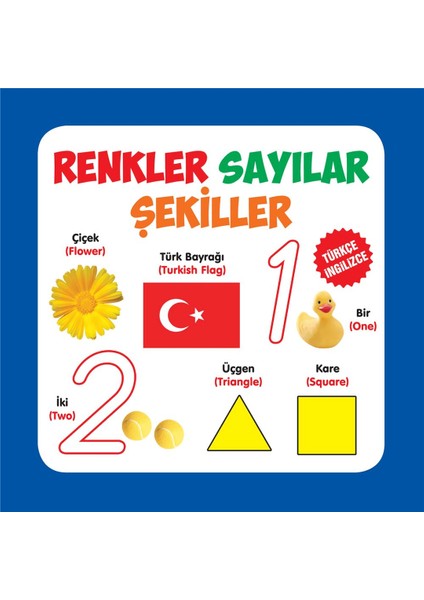 Renkler Sayılar Şekiller