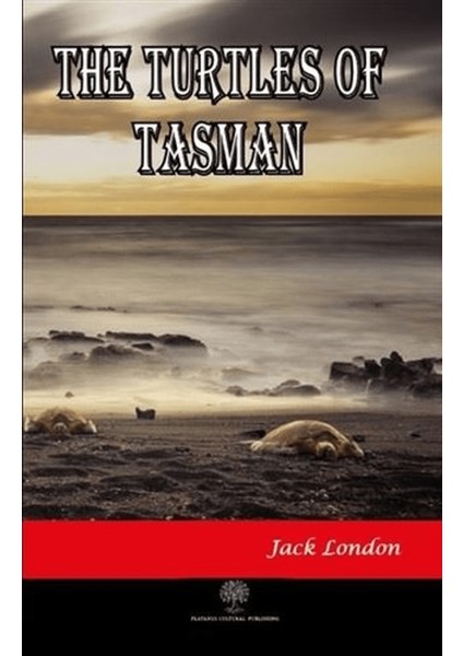 The Turtles Of Tasman