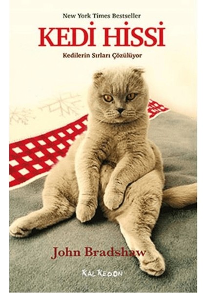Kedi Hissi