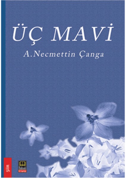 Üç Mavi