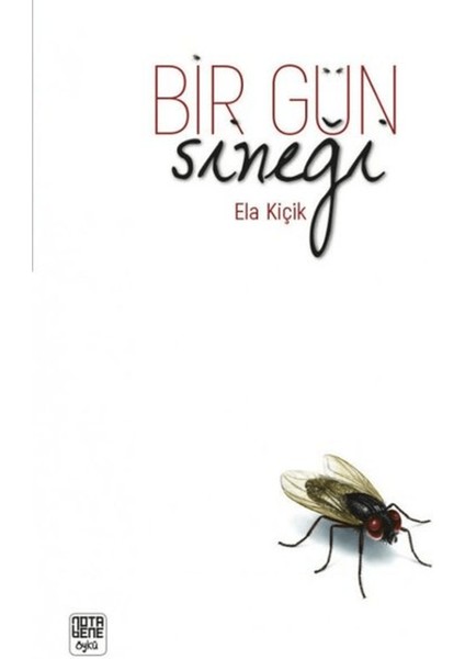 Bir Gün Sineği