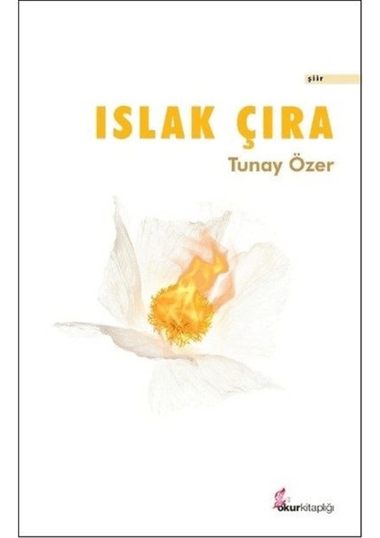 Islak Çıra