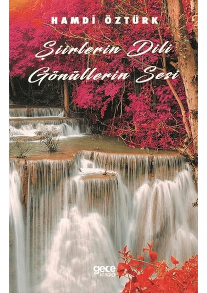 Şiirlerin Dili Gönüllerin Sesi