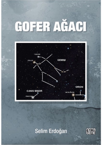 Gofer Ağacı