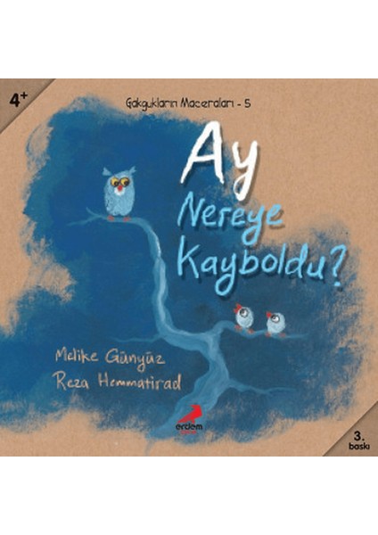 Ay Nereye Kayboldu?