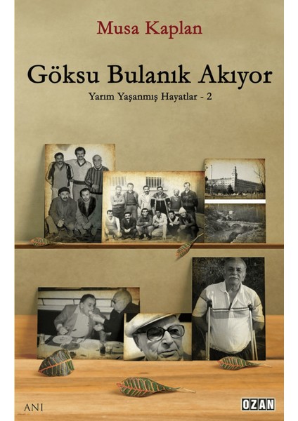 Göksu Bulanık Akıyor