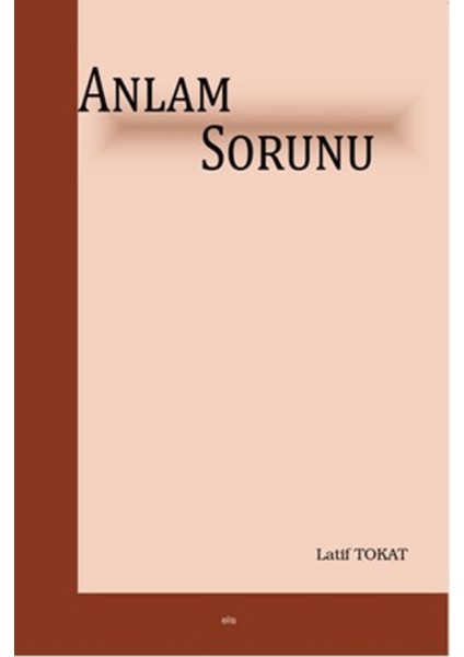 Anlam Sorunu