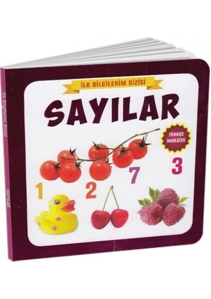 Sayılar - Ilk Bilgilerim Dizisi