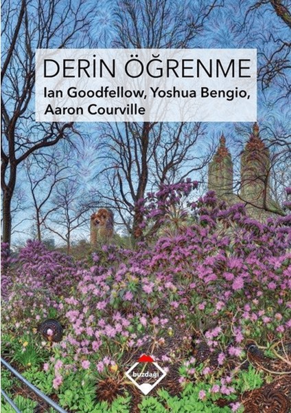 Derin Öğrenme