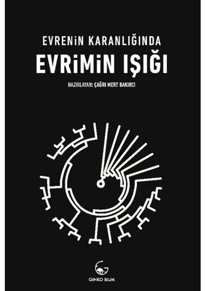 Evrenin Karanlığında Evrimin Işığı
