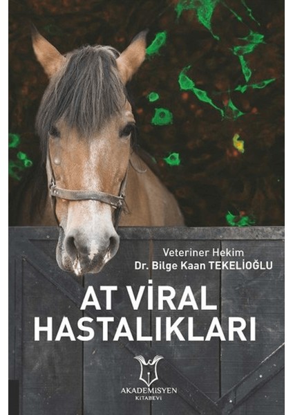 At Viral Hastalıkları