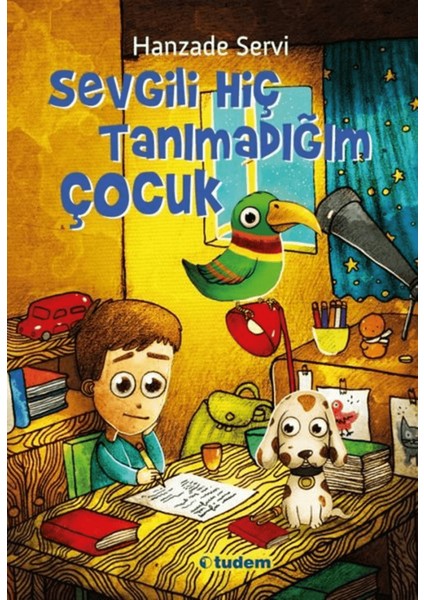 Sevgili Hiç Tanımadığım Çocuk
