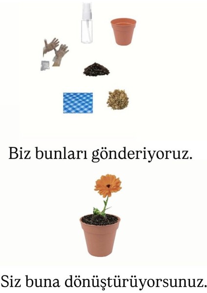 Ekilmeye Hazır Yaşam Seti