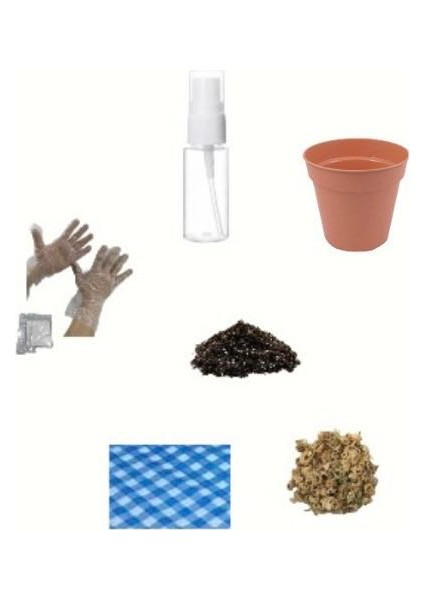 Ekilmeye Hazır Yaşam Seti