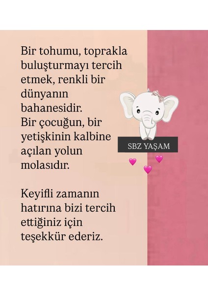 Ekilmeye Hazır Yaşam Seti