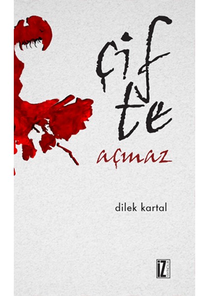 Çifte Açmaz