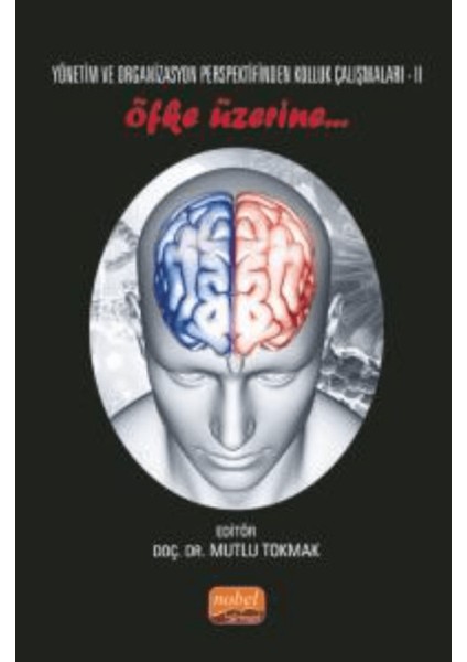 Yönetim ve Organizasyon Perspektifinden Kolluk Çalışmaları Iı - Öfke Üzerine..