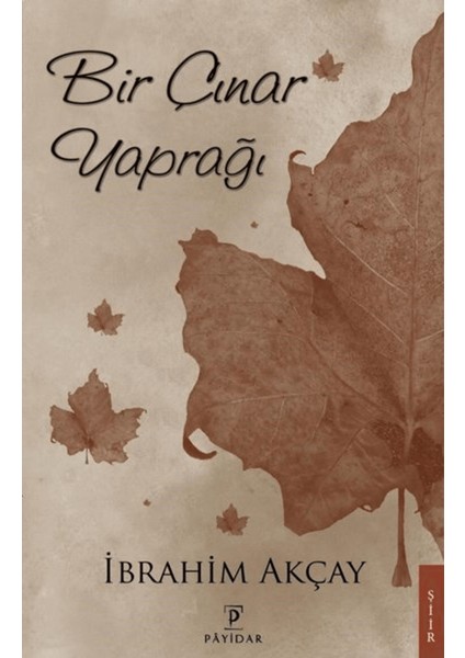 Bir Çınar Yaprağı