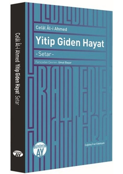 Yitip Giden Hayat