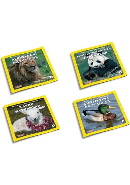 Benim Hayvan Arkadaşlarım Dizisi (4 Kitap)