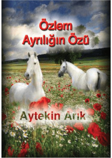 Özlem Ayrılığın Özü