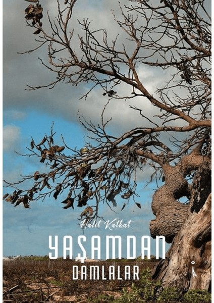 Yaşamdan Damlalar
