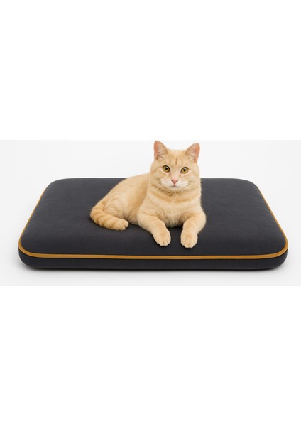 4 Mevsim Termojel'li (60X40CM) Kedi/ Köpek Matı, Sıcak Veya Soğuk Kullanılabilen Minder Yatak