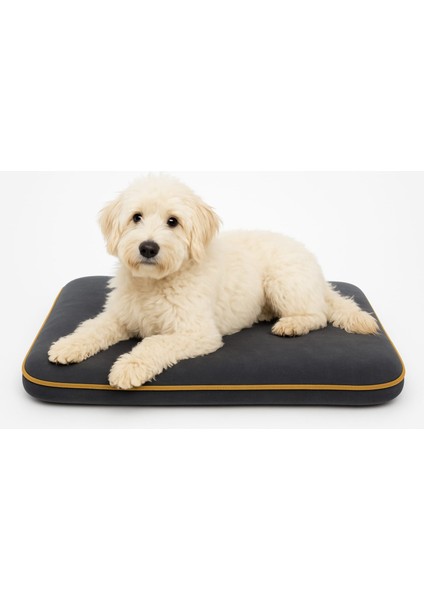 4 Mevsim Termojel'li (60X40CM) Kedi/ Köpek Matı, Sıcak Veya Soğuk Kullanılabilen Minder Yatak