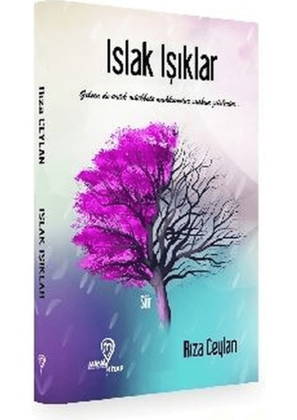 Islak Işıklar