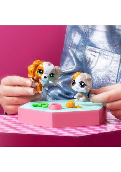 Lps Miniş 2’li Figür Seti Seri 3 NO:153-152 Spanyel Köpek ve Scottis Fold Longhair Kedi fırsatları