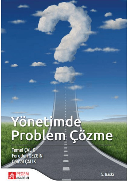 Yönetimde Problem Çözme
