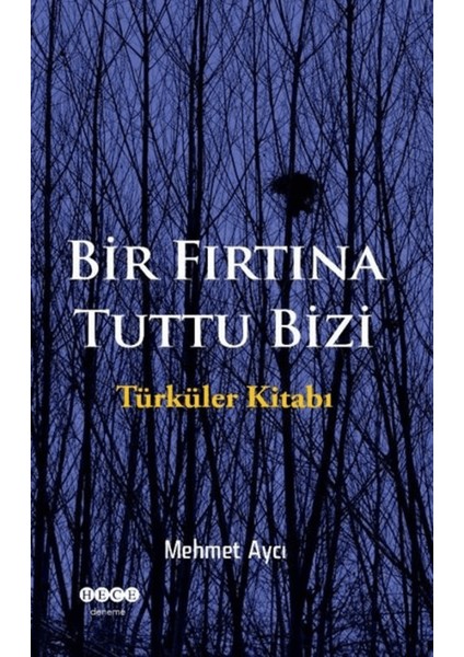 Bir Fırtına Tuttu Bizi