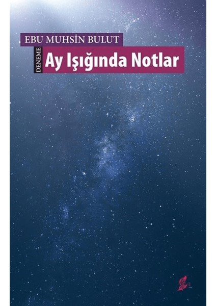 Ay Işığında Notlar