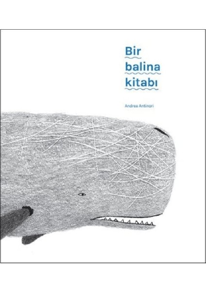 Bir Balina Kitabı