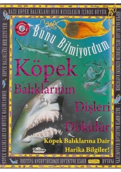 Bunu Bilmiyordum - Köpek Balıklarının Dişleri Dökülür