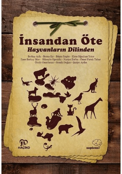 Insandan Öte