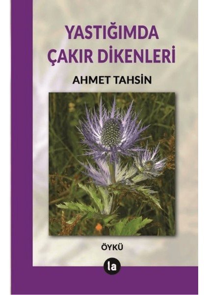 Yastığımda Çakır Dikenleri