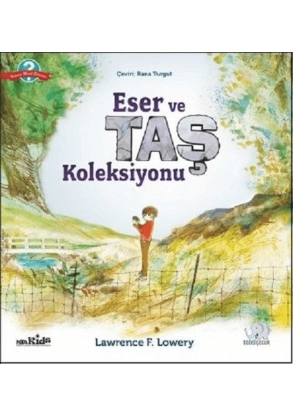 Eser ve Taş Koleksiyonu