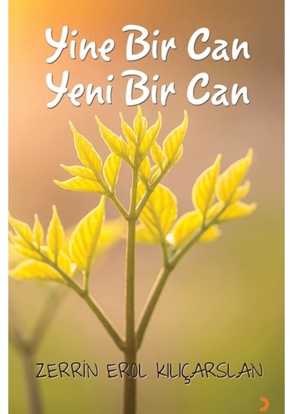 Yine Bir Can Yeni Bir Can