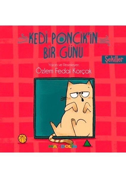 Şekiller - Kedi Ponçik'in Bir Günü