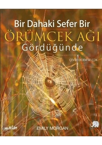 Bir Dahaki Sefer Bir Örümcek Ağı Gördüğünde