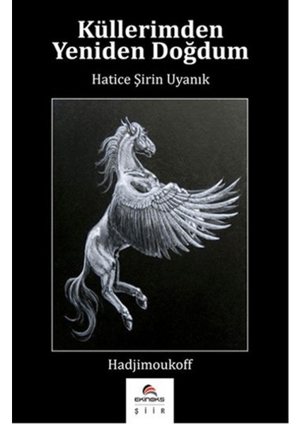 Küllerimden Yeniden Doğdum
