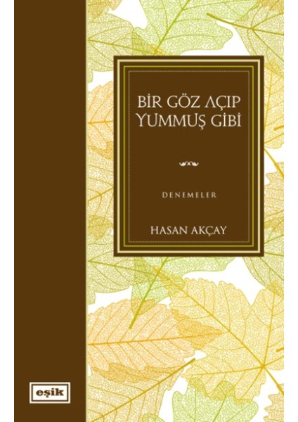 Bir Göz Açıp Yummuş Gibi