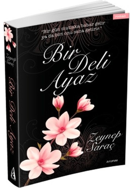 Bir Deli Ayaz